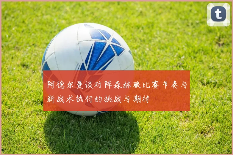 阿德尔曼谈对阵森林狼比赛节奏与新战术执行的挑战与期待