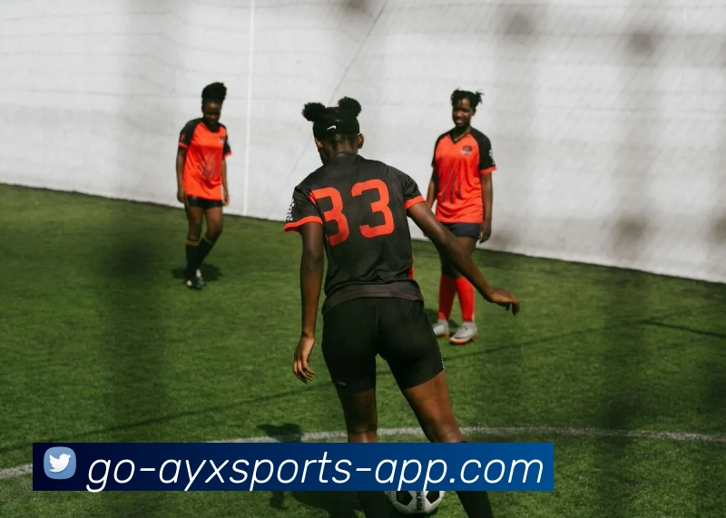 多媒体互动体验