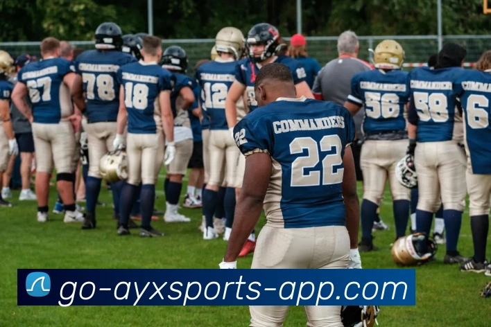 爱游戏体育APP 高清赛事图